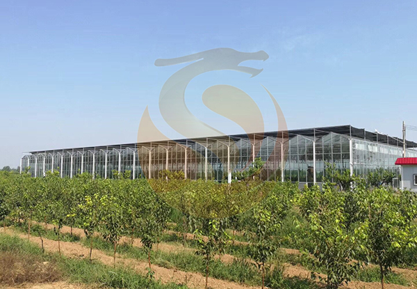 河北省清涼鎮(zhèn)古早清涼現(xiàn)代農業(yè)觀光旅游項目-智能溫室